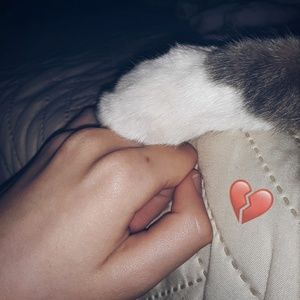 Meet your Posher, Alanna